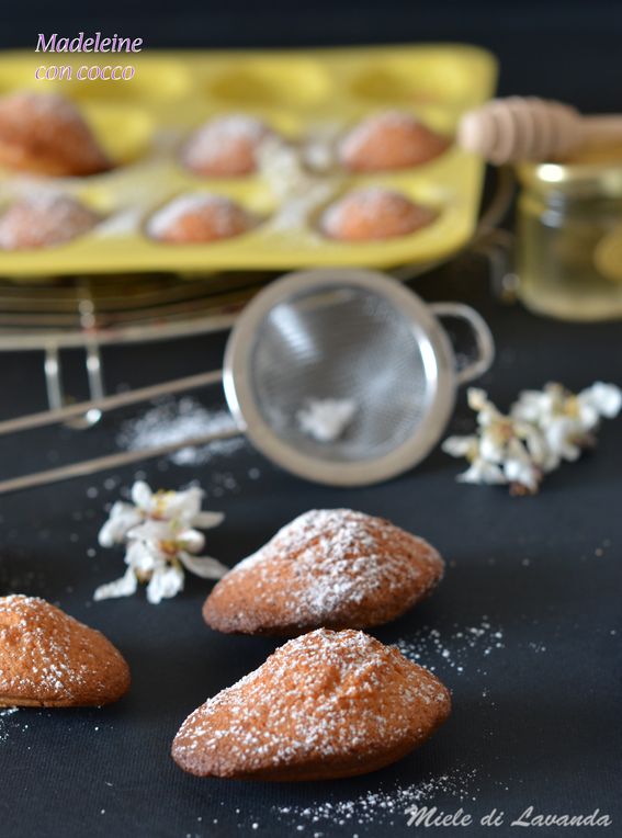 Madeleine con cocco